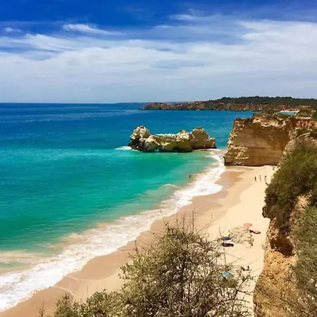 Stylish With View Daire